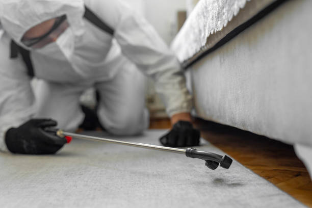 Professional Bed Bug Control technician working in Mississippi County County, AR
